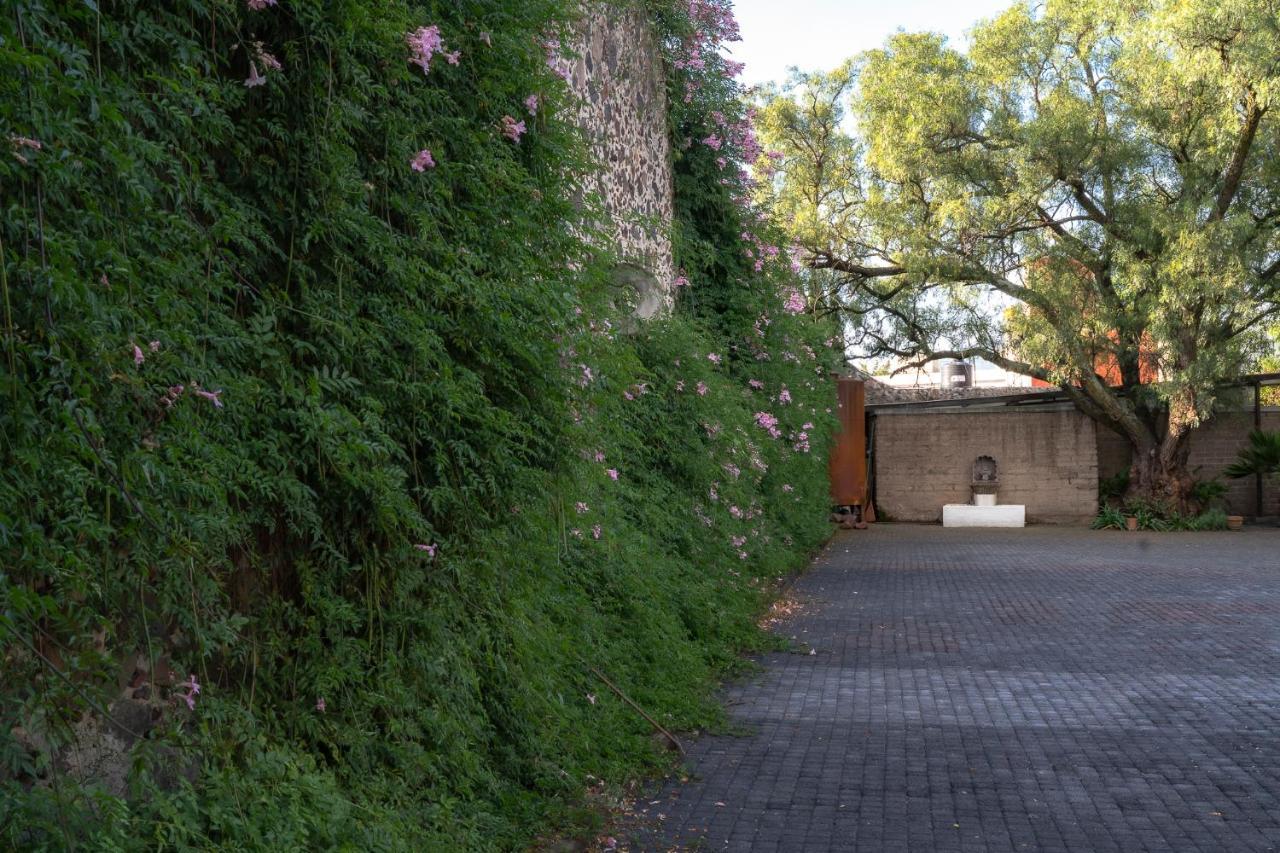 Posada Colibri - Hotel & Spa San Juan Teotihuacán Exteriör bild