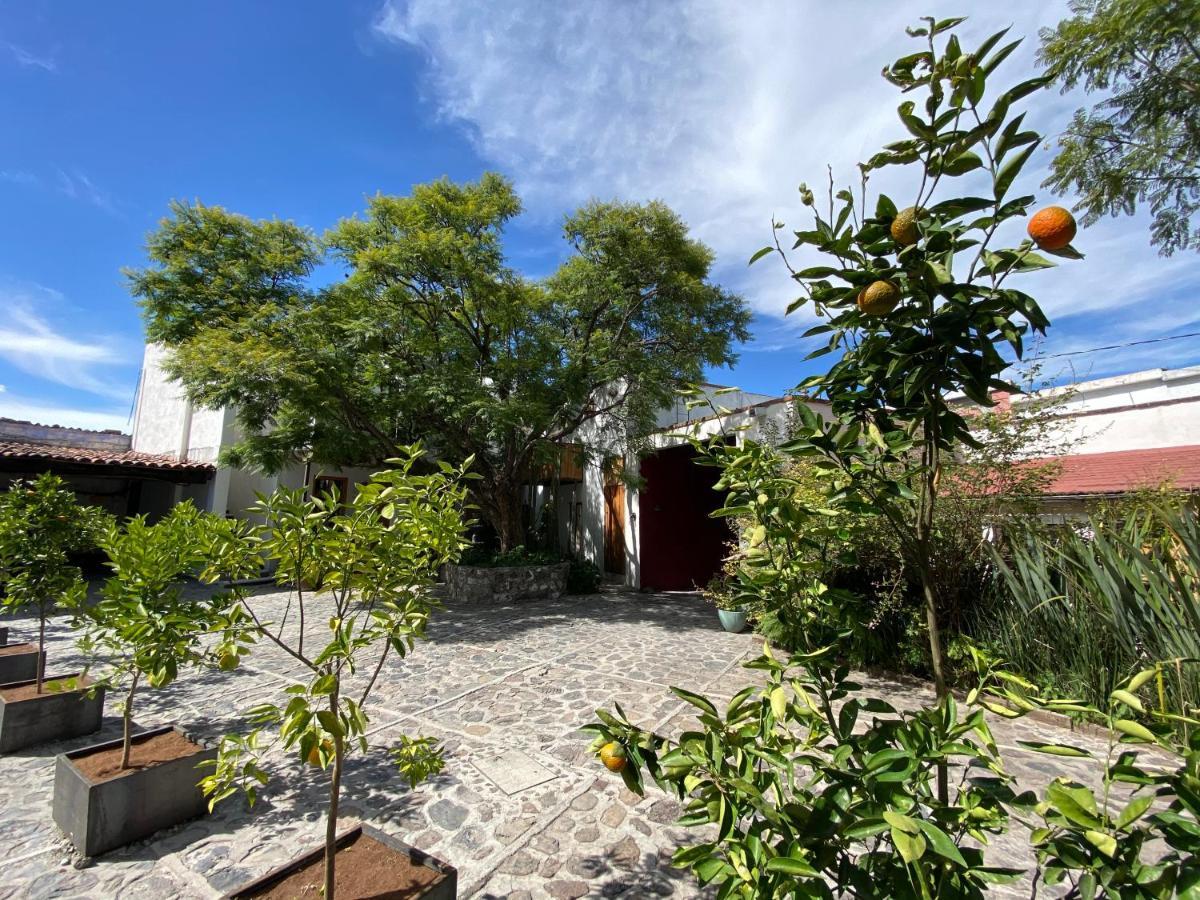 Posada Colibri - Hotel & Spa San Juan Teotihuacán Exteriör bild